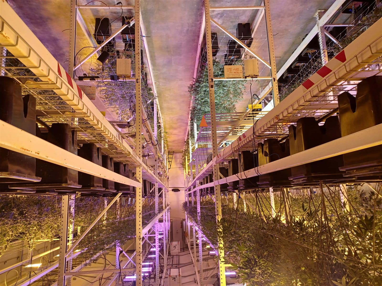 Multi-tier indoor grow room with LED fixtures