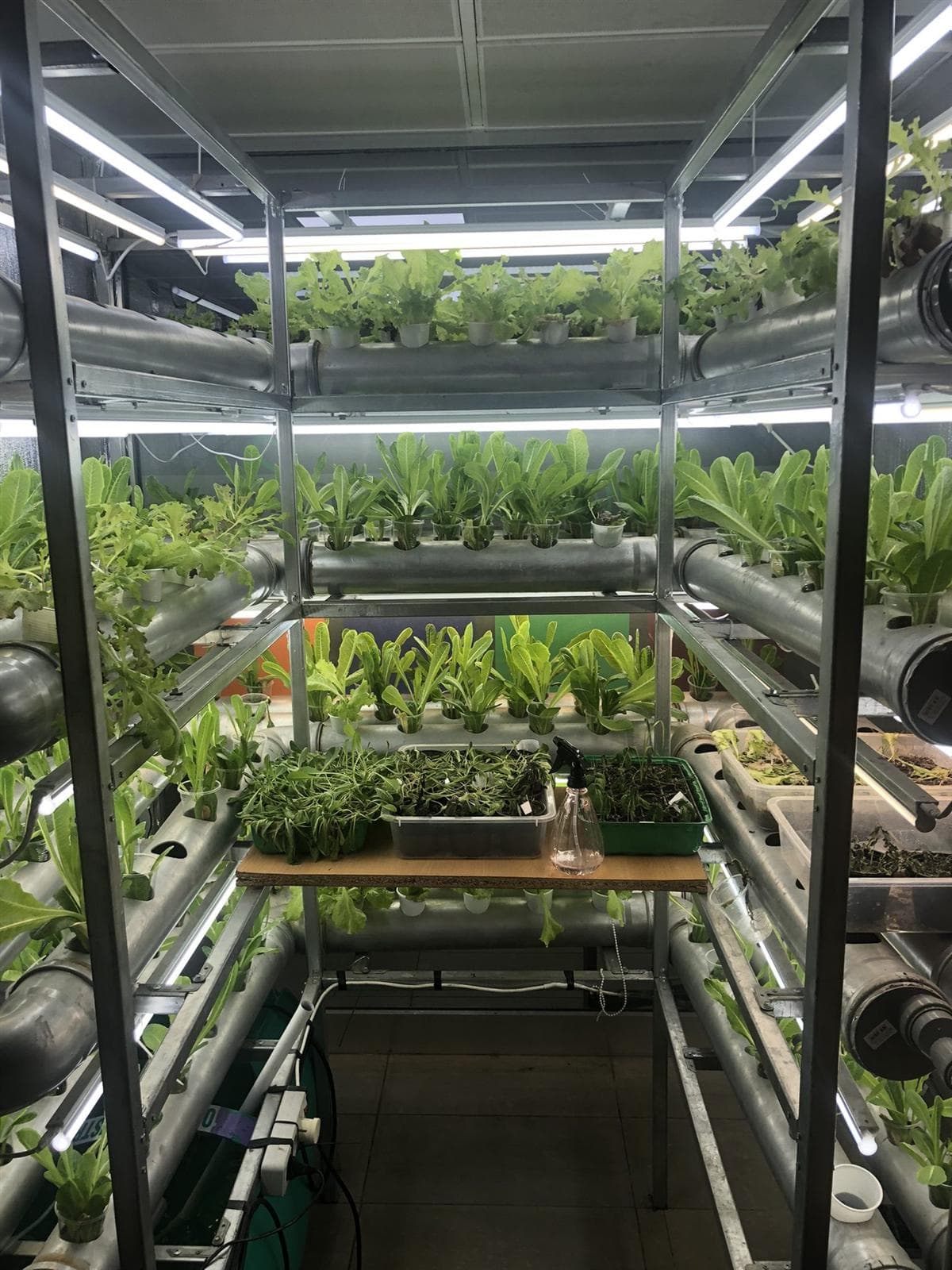 Compact home hydroponic growing unit