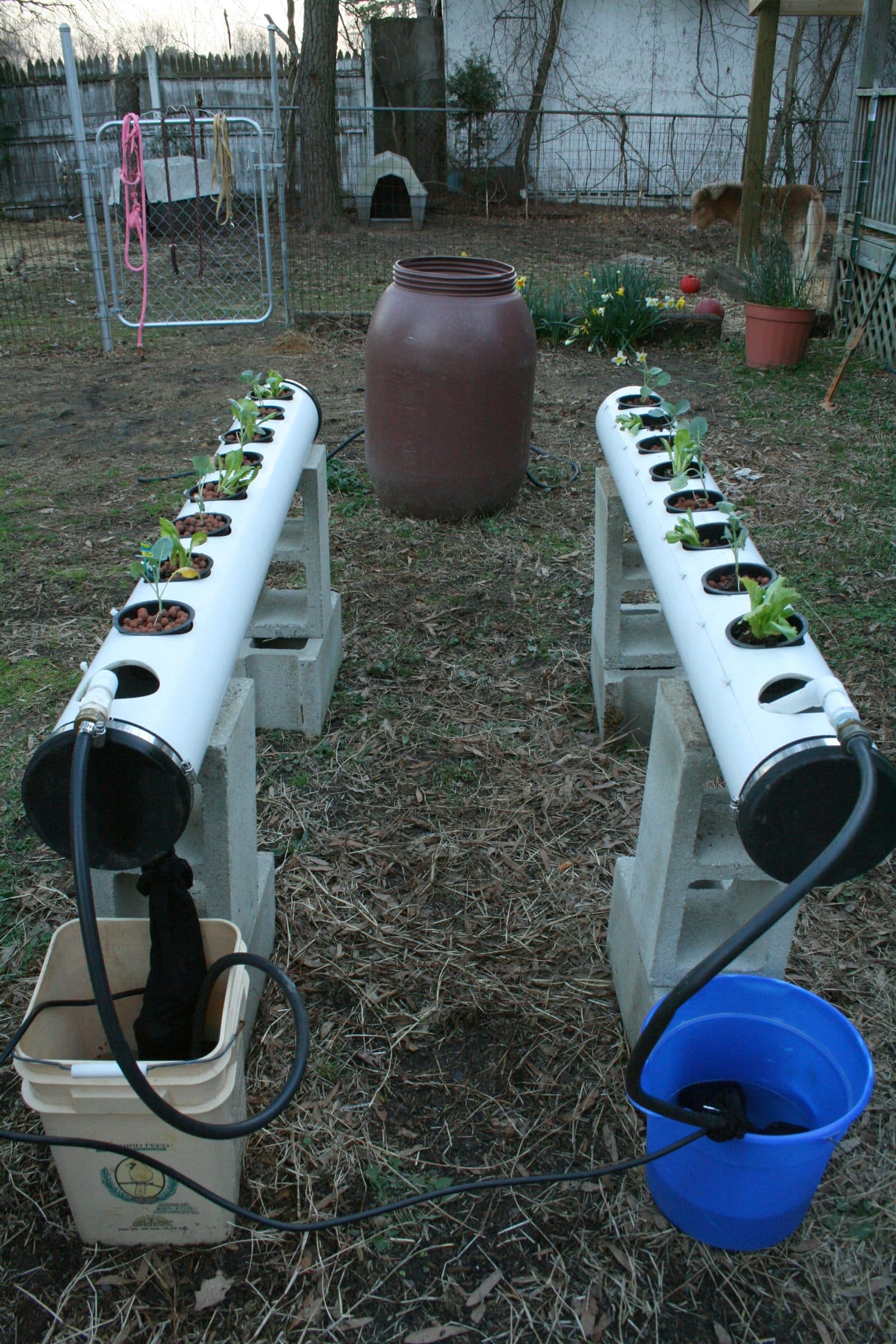 Home-built NFT hydroponics system with leafy plants