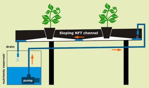 Diagram of a nutrient film technique hydroponic system